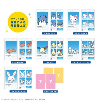 산리오 시크릿 증명사진풍 스멀로이드 포토 증명사진 포토카드