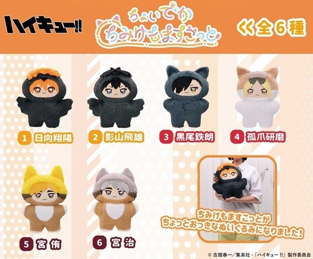 2026년 3월출고 하이큐 초 거대한 치미케모 마스코트 인형