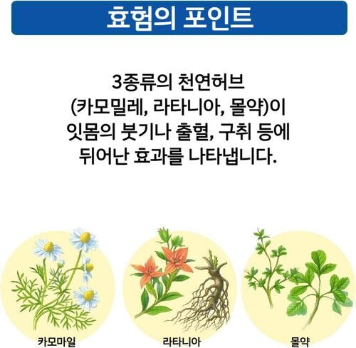 일본 사토 아세스 치약 60g / 120g / 160g